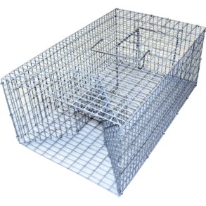 Rotteflde Familie til massefangst i kraftigt trdvv