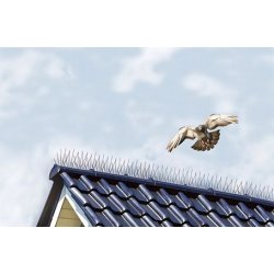 Duepigge / Fuglepigge - 10 x 25 cm. (2,5 meter)