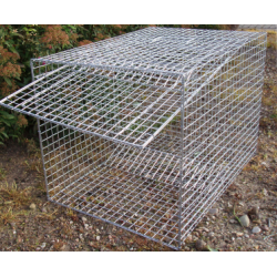 Skadeflde, krageflde og mgeflde i galvaniseret jern