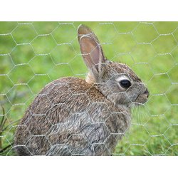 Hnsevv / Hnsenet - 25x25 mm. / Hjde 100 cm. / Rulle med 50 meter