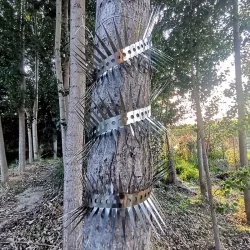 R�rsikring mod Skadedyr - 1 meter