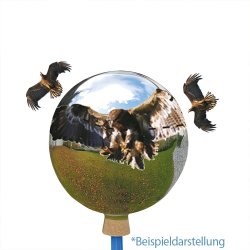 Rovfuglekugle  30 cm