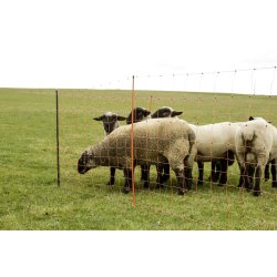 Plasthegn - Hjrnestolpe