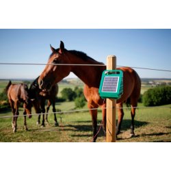 Plasthegn - Spndingsgiver til Elhegn - Sun Power 250 - Lille