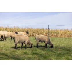 Ulvestop / WolfStop - 10 stk. universal stolper