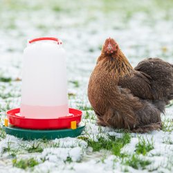 Varmeplade til vandautomat - 30 cm.