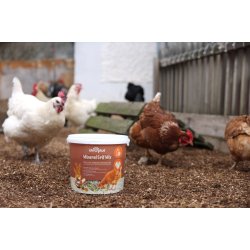 Mineral Grit Mix - 5 kg.