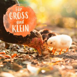 Soldaterfluelarver - 1000 gram