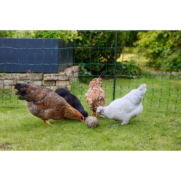 Foderbolde til fjerkr "PeckBall" - 6 stk.  500 gram