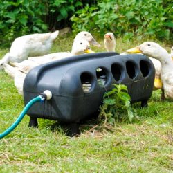 Automat Vander til gs, nder, hns - Model BEC