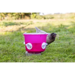 Foderspand med 4 spisehuller - 10 kg. - "Kalle"