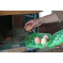 ggeboks - Lemon - Til 12 g