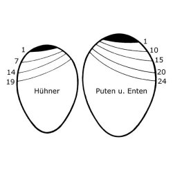 Luftblremler / Luftkammermler til g strrelse S til XL
