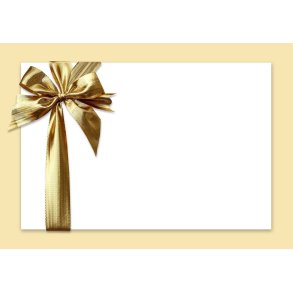 Gavekort til America Thisted – frit valg i webshop