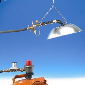 Infraconic Kyllingemoder - Stor - Komplet st