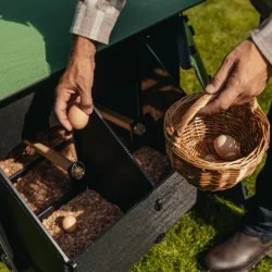 Hnsehus - Nestera Large - 9-13 hns