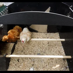 Hnsehus - Nestera Large - 9-13 hns