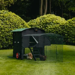 Hnsehus - Nestera Large - Hvet / Hj - 9-13 hns