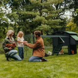 Hnsehus - Nestera Large - Hvet / Hj - 9-13 hns