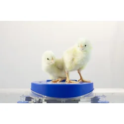 Lumia 16 Rugemaskine - Helautomatisk