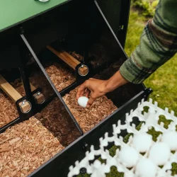 Hnsehus - Nestera Medium - 5-8 hns