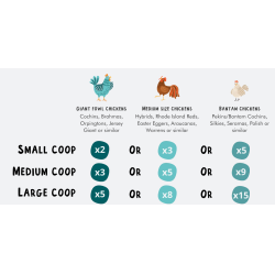 Hnsehus - Nestera Small - Hvet / Hj - 2-4 hns