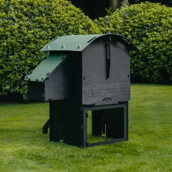 Hnsehus - Nestera Small - Hvet / Hj - 2-4 hns