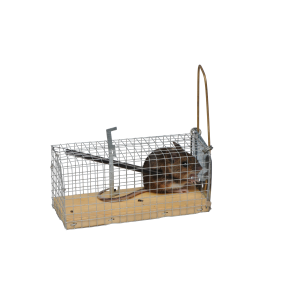 Skadedyrsbekæmpelse