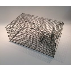 Rotteflde Familie til massefangst i kraftigt trdvv anden vinkel