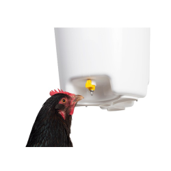 Nippeldrikkeautomat TRIO - 12 L