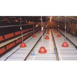 Rainbow Vandautomat - Hns / Fasan - Komplet