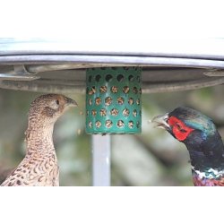 W Feeder vildtfoderindsats i brug 